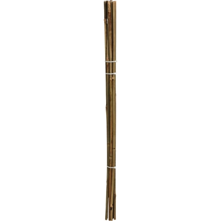 Bambuko lazdos, 78 cm, 1 pak. - 10 vnt.