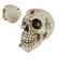 Piggy Bank - Skull, 15 cm