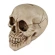Piggy Bank - Skull, 15,5 cm