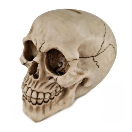 Taupyklė - kaukolė, 15,5 cm