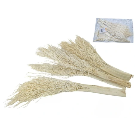 Datulinės palmės šakos, 25-45 cm, 1 pak. - 6 vnt.