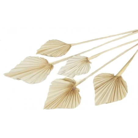 Balinti palmės lapai, 9-12 cm, 1 pak. - 12 vnt.