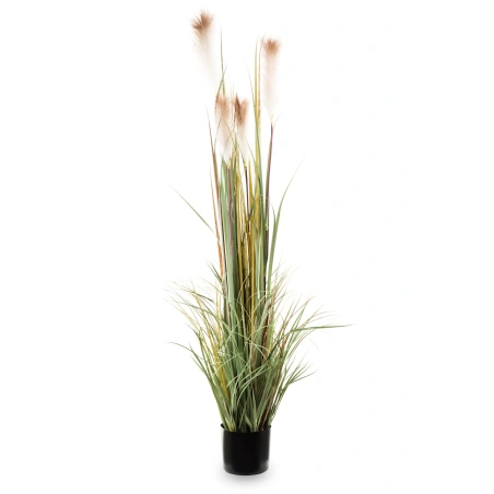 Artificial succulents in a pot, 150×60 cm