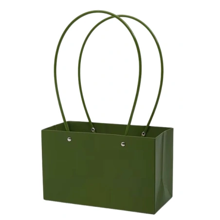 Gift Bag, 22×10,5×13,5 cm, green