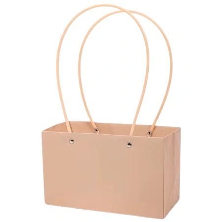 Gift Bag, 22×10,5×13,5 cm, peach