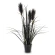 Decorative plant - sandalwood in a pot, 55×50×40 cm