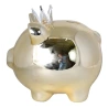 Money box "Pig with a crown", 21×16×21 cm, gold color
