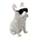 Money box "Bulldog with black glasses", 12×18×25.5 cm, white