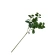 Dirbtinis eukaliptas, h-61 cm