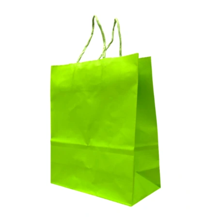Craft Paper Gift Bag, green apple, 120 µm