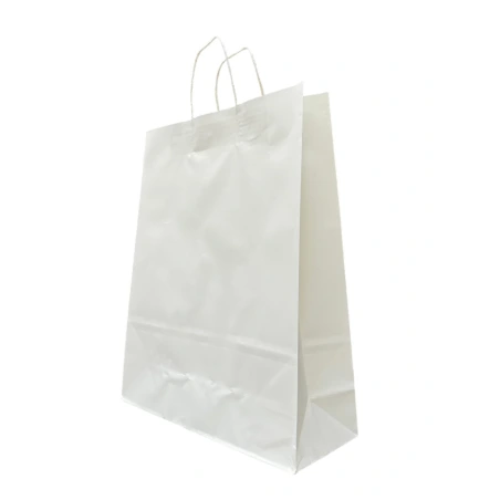 Craft Paper Gift Bag, white, 120 µm