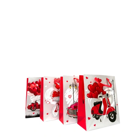 Gift Bag