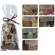 Dried fruit set, 100 g