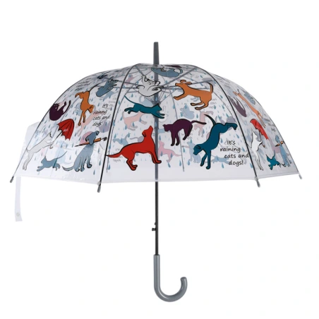 Umbrella, transparent with pictures, 83.3×83.3×81.3 cm