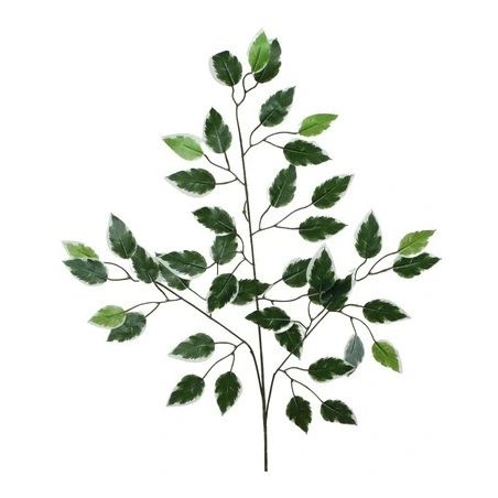 Mākslīgā fikusa lapa, 62 cm
