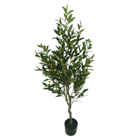 Alyvmedis 135 cm