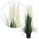 Flowering herb in a pot, 90 cm