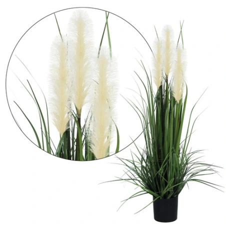 Flowering herb in a pot, 90 cm