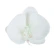 Dirbtiniai orchidėjų žiedai, Ø 10 cm, baltos spalvos, 1 pak. - 36 vnt.