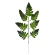 Artificial fern leaf, h-45 cm