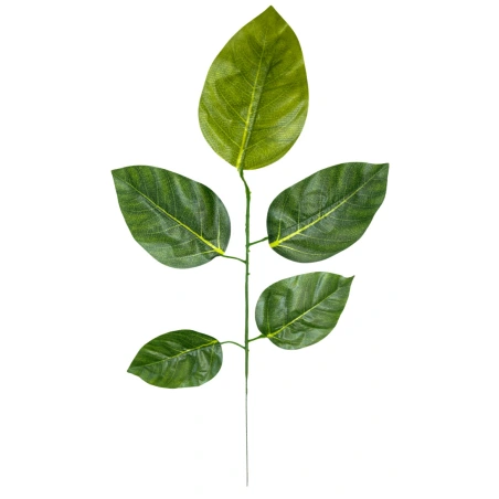 Artificial magnolia leaf
