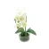 Dirbtinė orchidėja vazone, baltos spalvos, 33 cm