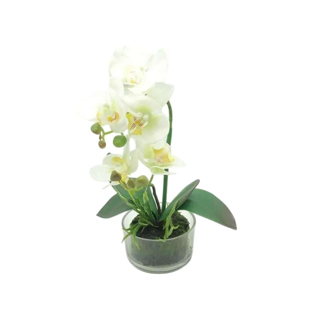 Dirbtinė orchidėja vazone, baltos spalvos, 33 cm