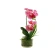 Dirbtinė orchidėja vazone, rožinės spalvos, 33 cm