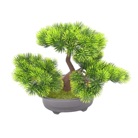 Bons in a pot, 21 cm