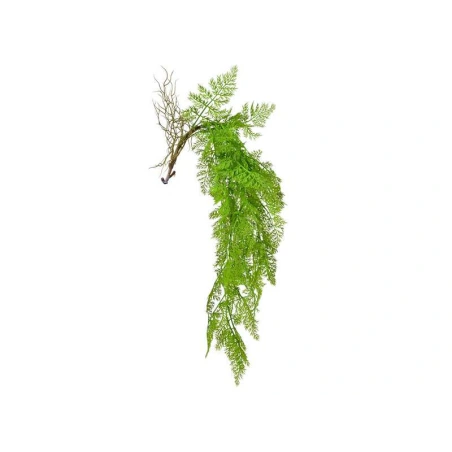 Dirbtinė žaluma,h-75 cm