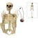 Decoration "Skeleton", 90 cm