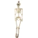 Decoration "Skeleton", 165 cm