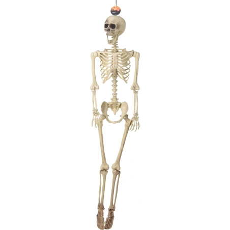 Decoration "Skeleton", 165 cm