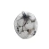 Decoration "Skull", 1 pack - 12 pcs.