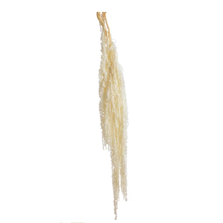 Amaranth, 100 cm, white, 1 pack - 5 pcs.