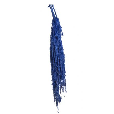 Amaranth, 100 cm, blue color, 1 pack - 5 pcs.
