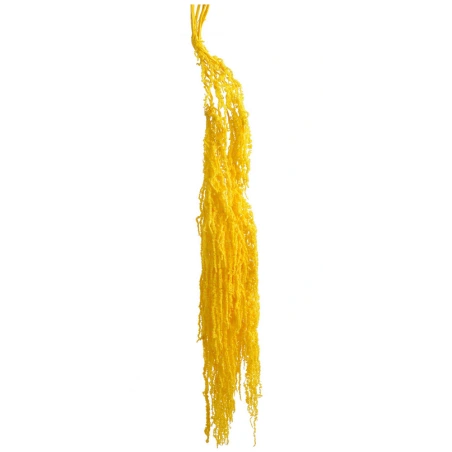 Amaranth, 100 cm, yellow, 1 pack - 5 pcs.
