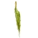 Amaranth, 100 cm, green, 1 pack - 5 pcs.