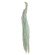 Amaranth, 100 cm, light blue, 1 pack - 5 pcs.