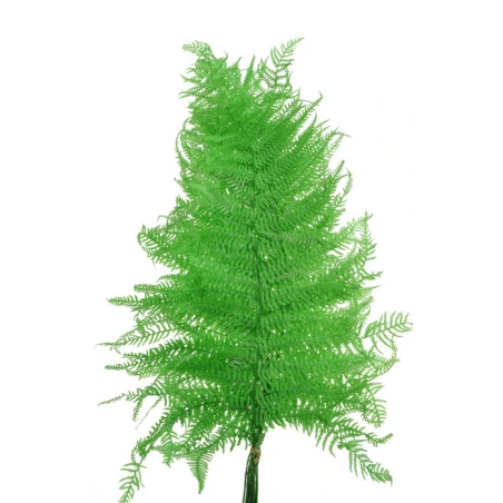 Fern leaves, 55 cm, green, 1 pack - 10 pcs.
