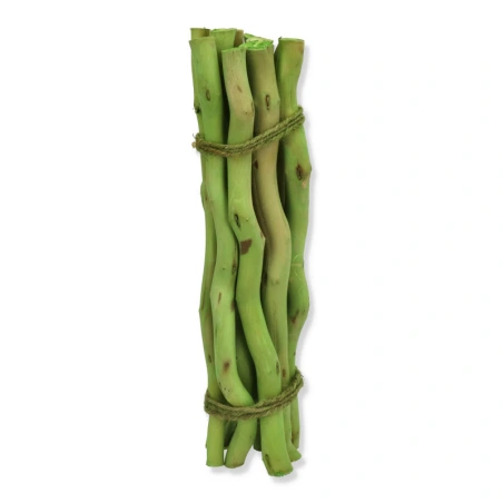 Bundle of sticks, 30 cm, green