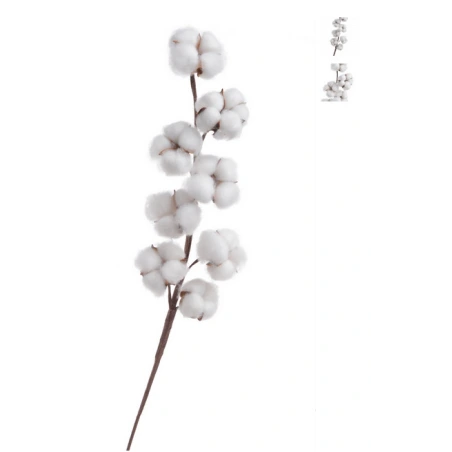 Cotton twig, 55 cm