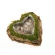 Moss pot "Heart", 7×30×30 cm