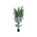 Artificial ficus, 180 cm