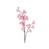Ogu zars, 80 cm, roza