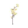 Ogu zars, 75 cm, dzeltens