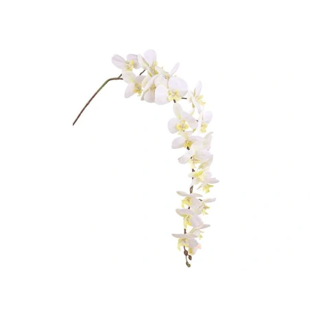 Orchidėjos šaka, 128 cm