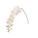 Orchid branch, 109 cm