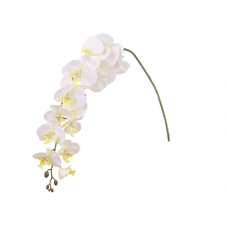 Orchidėjos šaka, 109 cm
