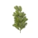 Fir branch, 61 cm